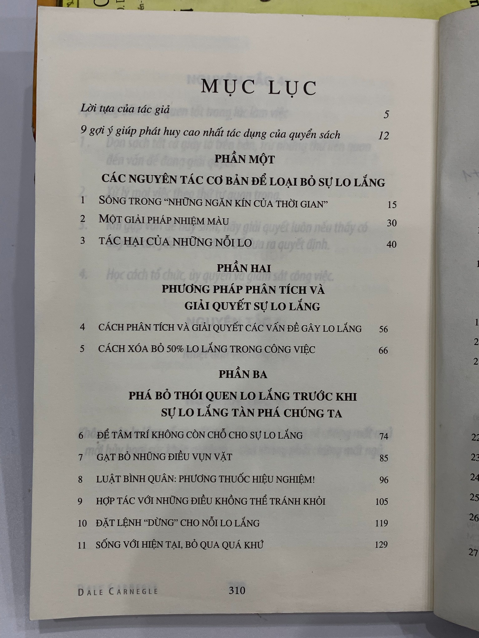Quẳng gánh lo đi và vui sống – Dale Carnegie - Ảnh 9