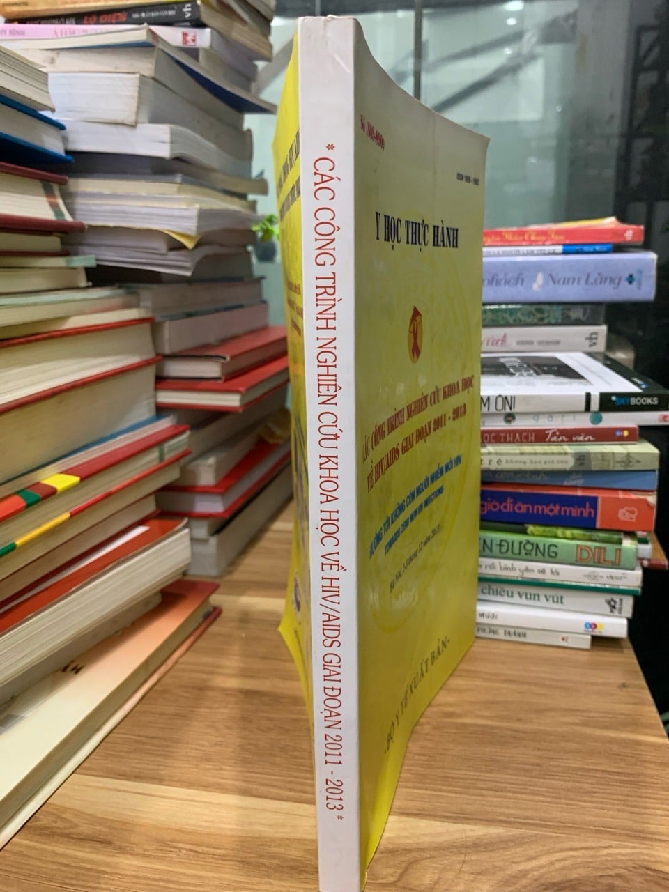 Các công trình nghiên cứu khoa học HIV/AIDS về giai đoạn 2011-2013 - Ảnh 3
