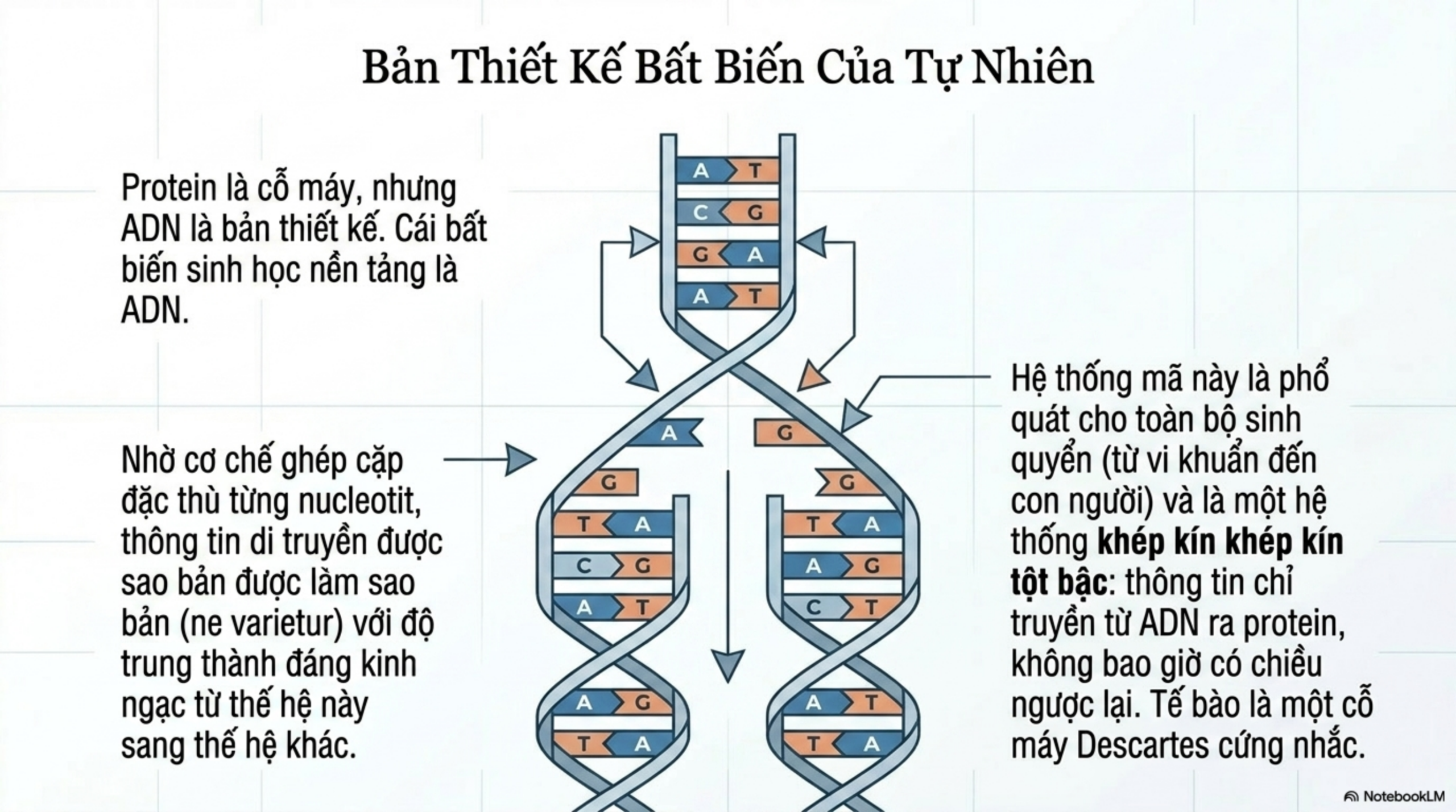 Slide Tóm tắt 9