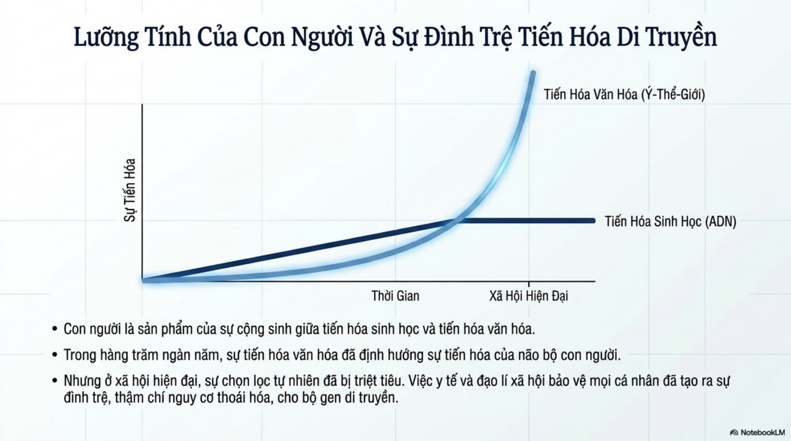 Slide Tóm tắt 14