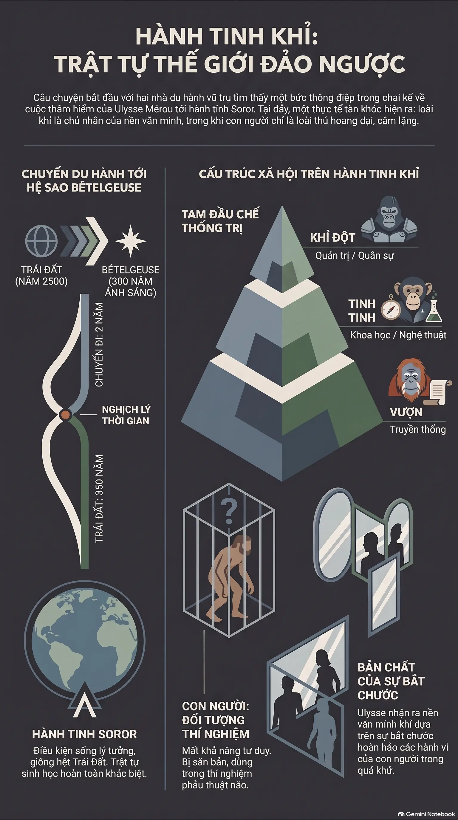 Infographic - [Mecobooks] Giải mã 