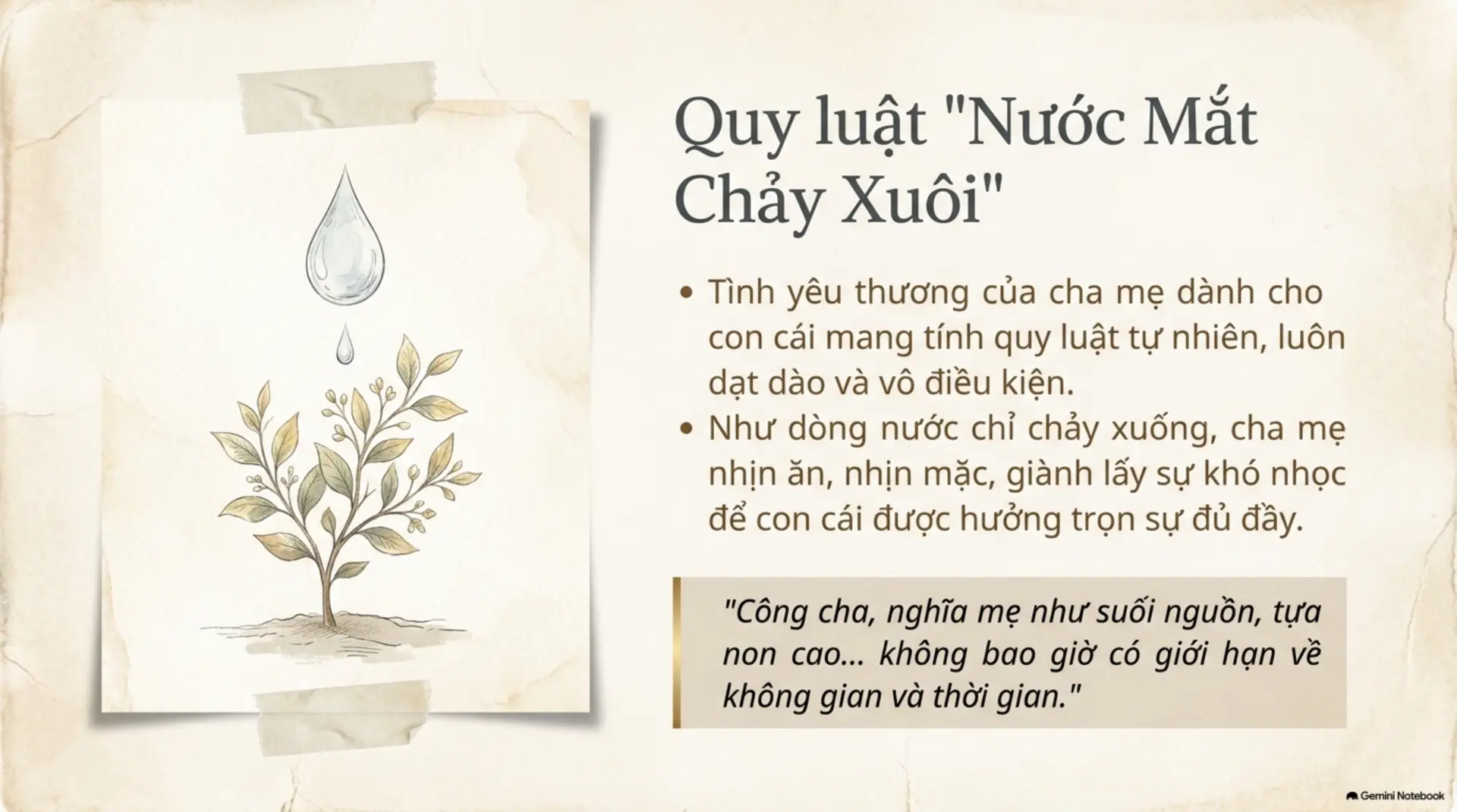Slide Tóm tắt 2 - Ơn Cha Nghĩa Mẹ: Những Khúc Vọng Tâm Tình Từ Vũ Trụ Sách Mecobooks