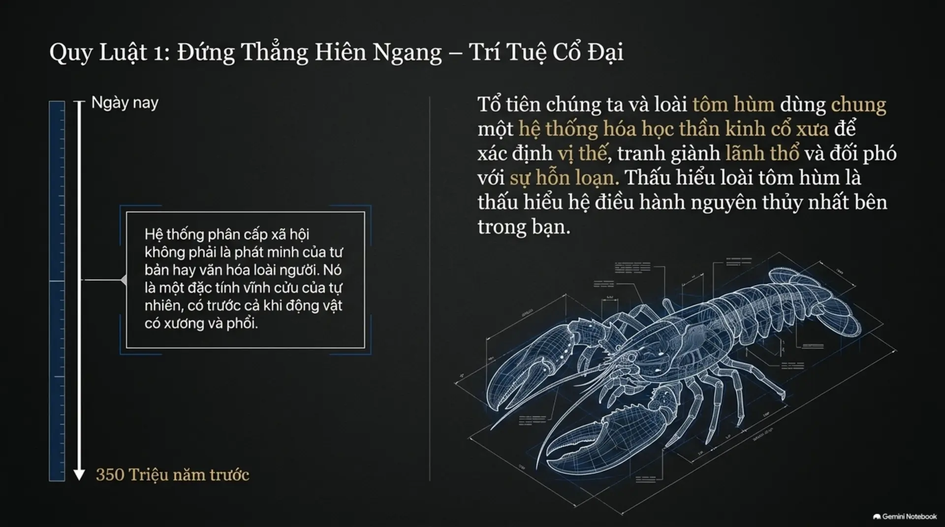 Slide Tóm tắt 5 - 12 Quy Luật Cuộc Đời: