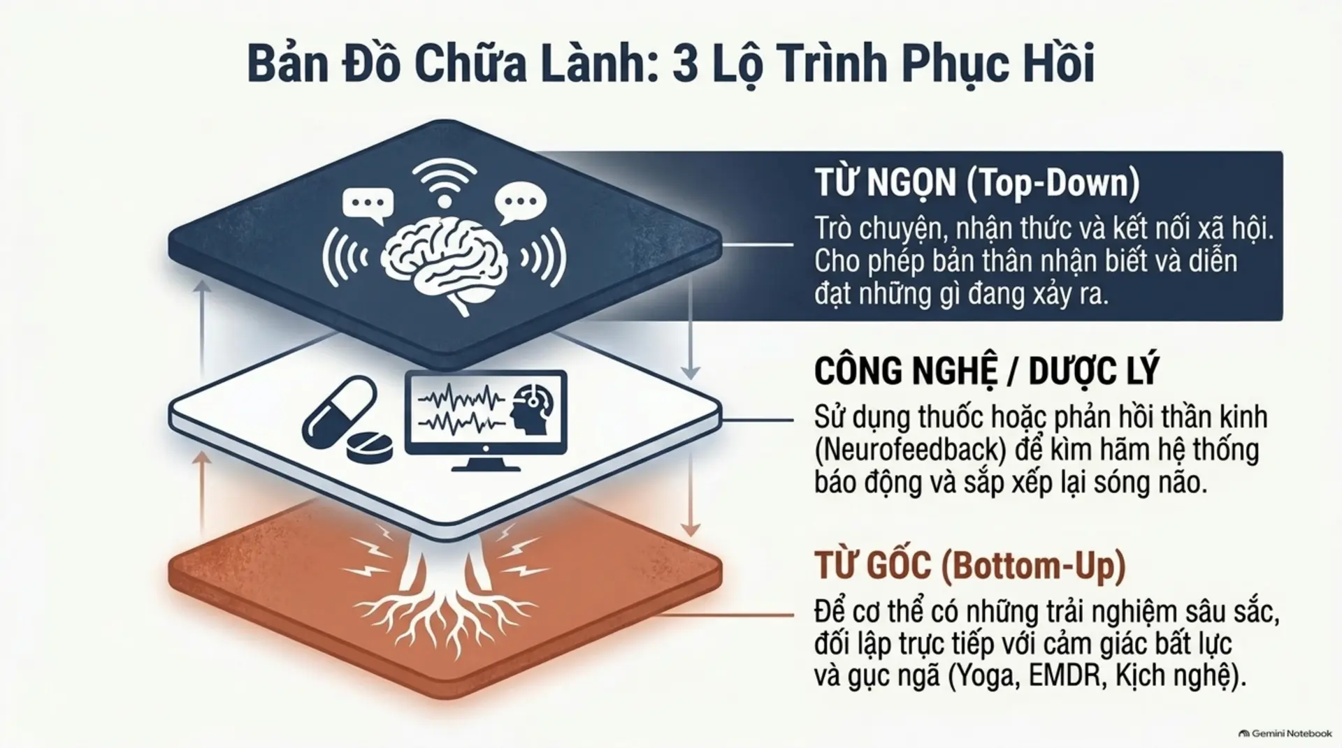 Slide Tóm tắt 9 - [Review Sách] Sang Chấn Tâm Lý - Hiểu Để Chữa Lành: Khi Cơ Thể Lên Tiếng Thay Tâm Hồn