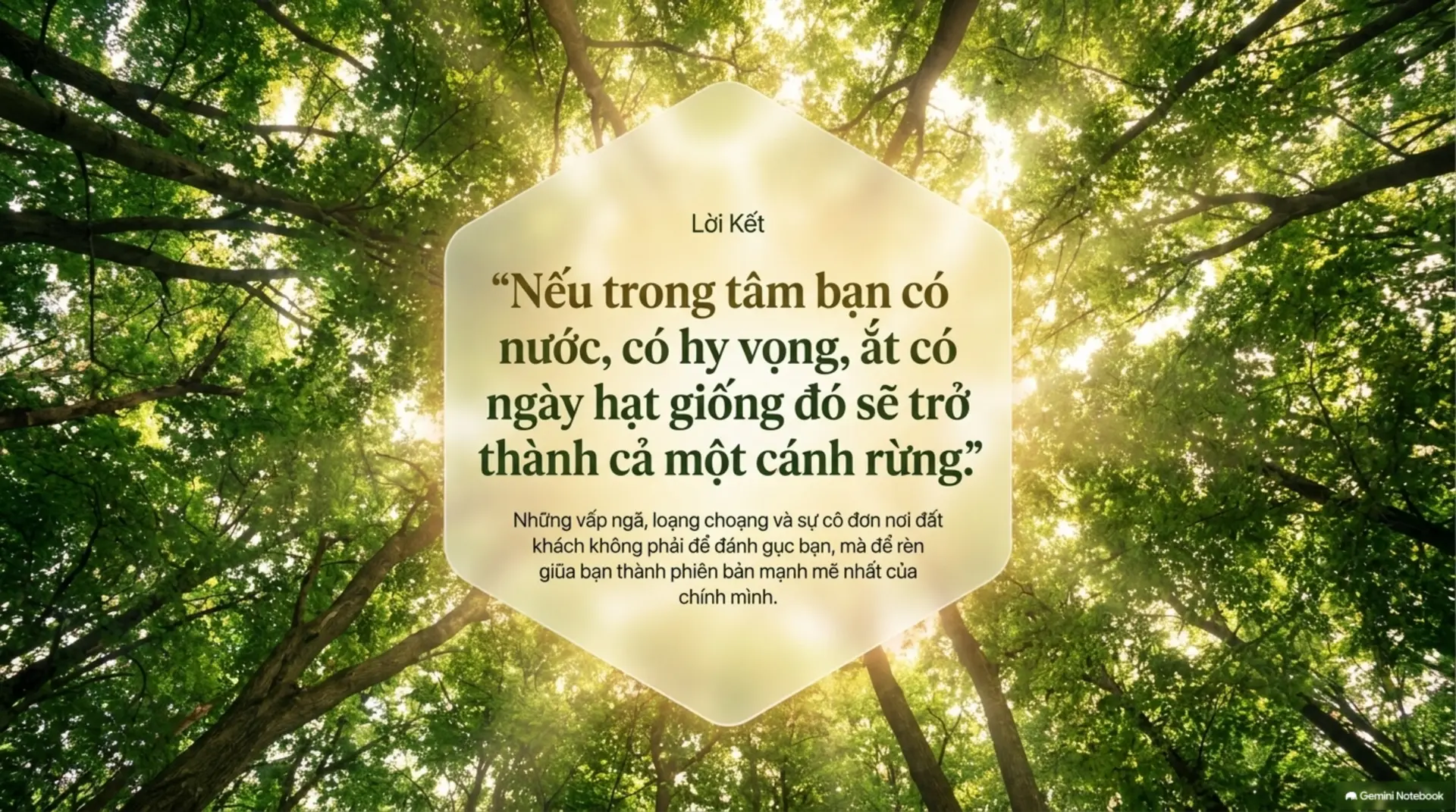 Slide Tóm tắt 11 - Du học trên đất Mỹ: Hành trình từ hạt giống khát vọng đến cánh rừng trưởng thành